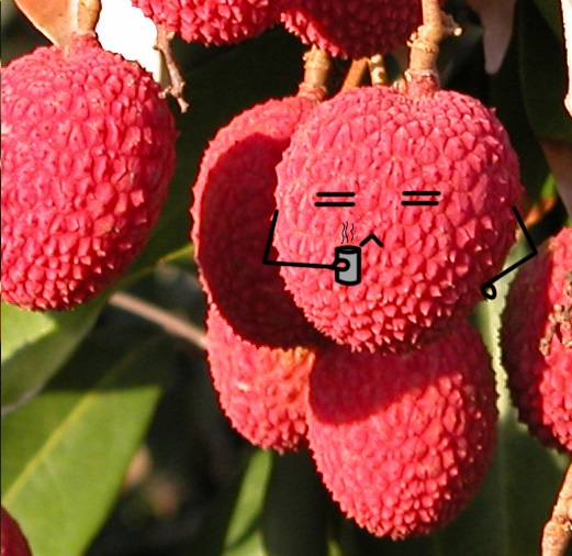 Lychee Richie 5921_01092016180700
