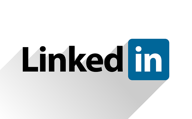 LinkedIn Network 