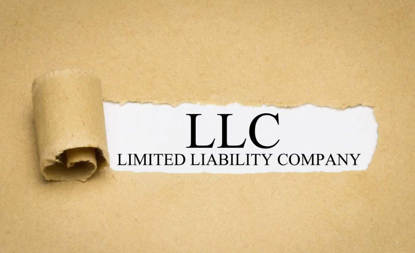 Things You Should Know Before You Establish an LLC