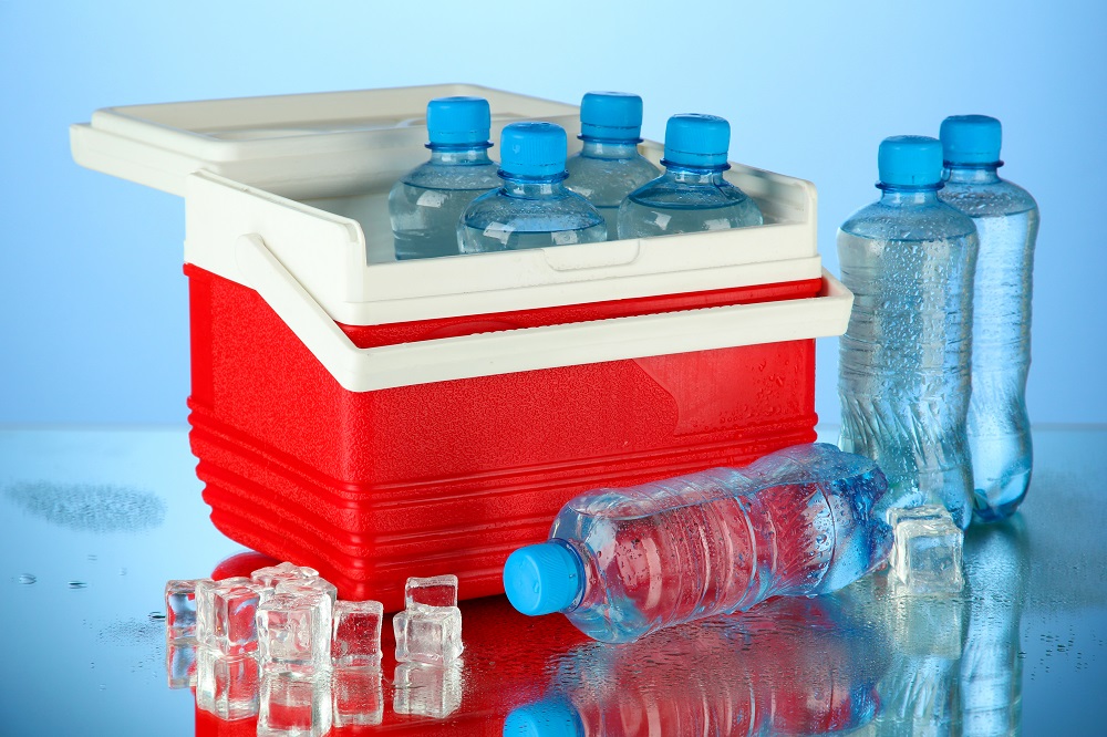 Easy and Quick Buying Guide for Portable Fridge