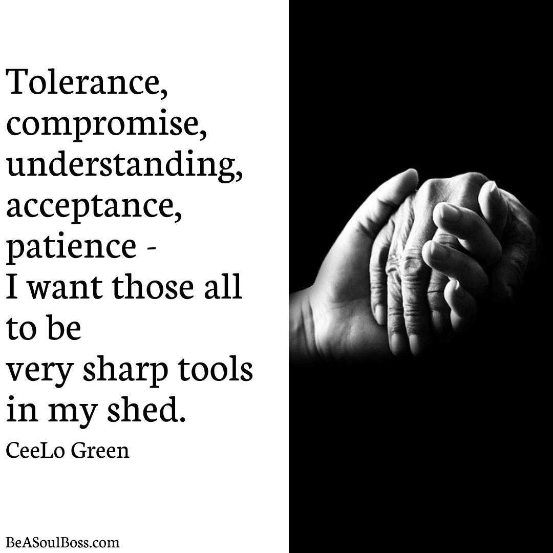 Tolerance and Understanding