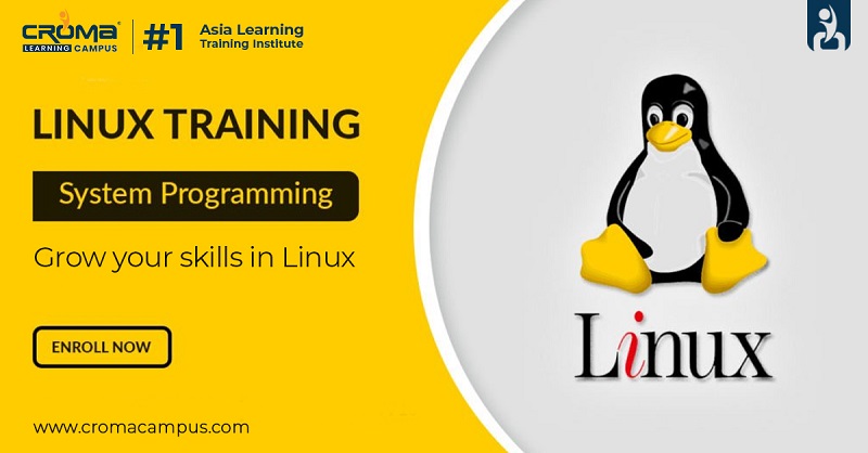 Linux Training Institute