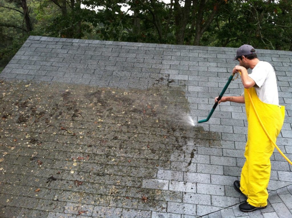 roof-cleaning1.jpeg