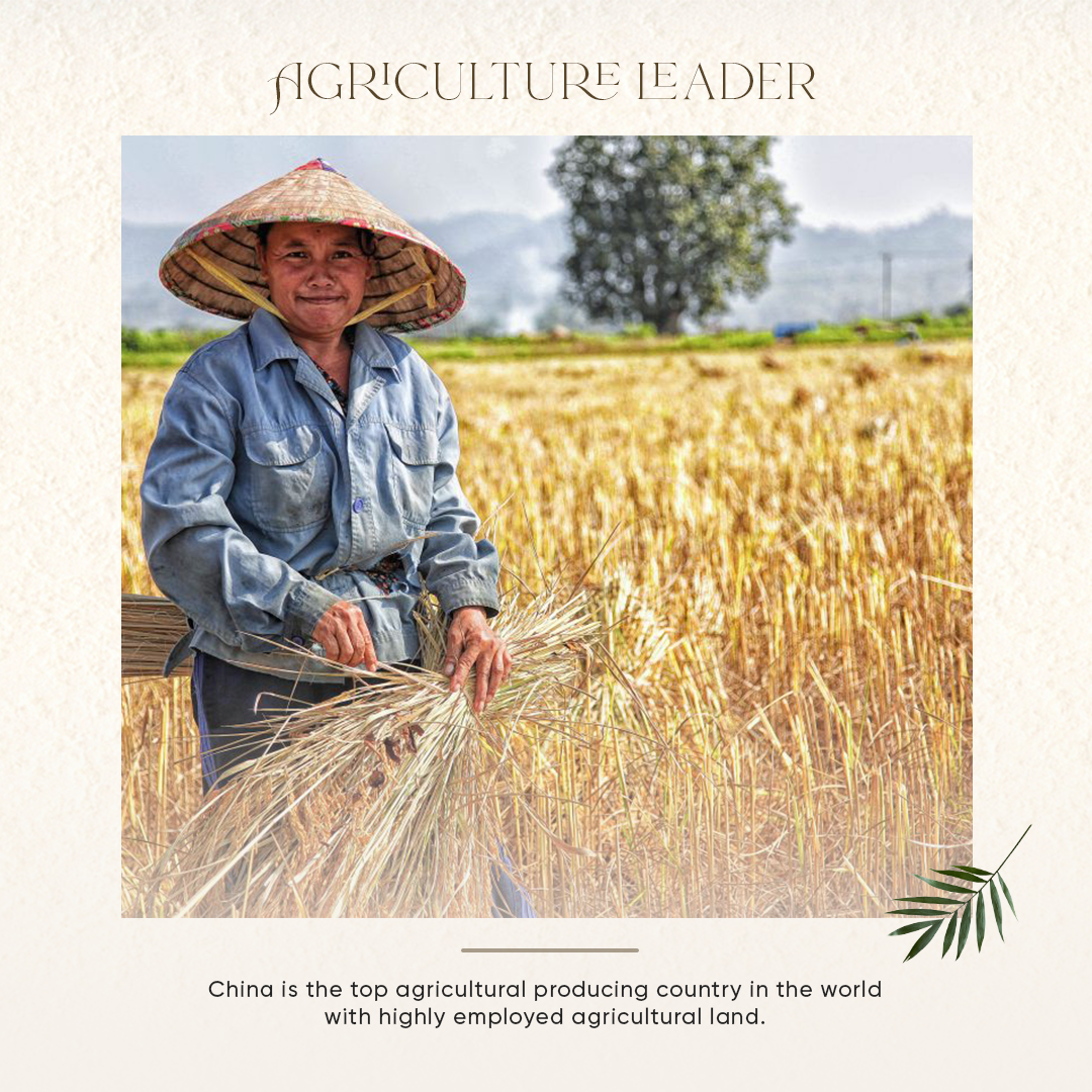 23-juneRamesh-Agriculture-fact.png