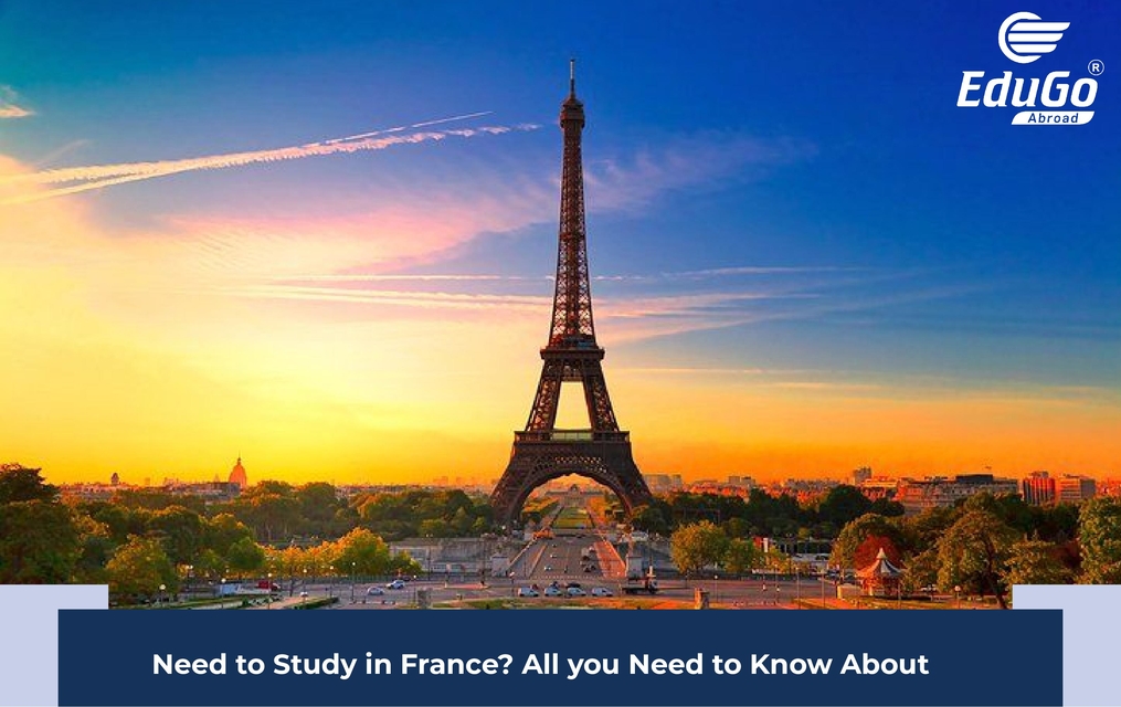 Need to Study in France? All you Need to Know About