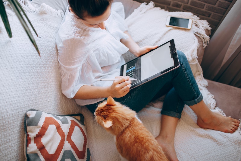 Woman with her cat drawing on a tablet