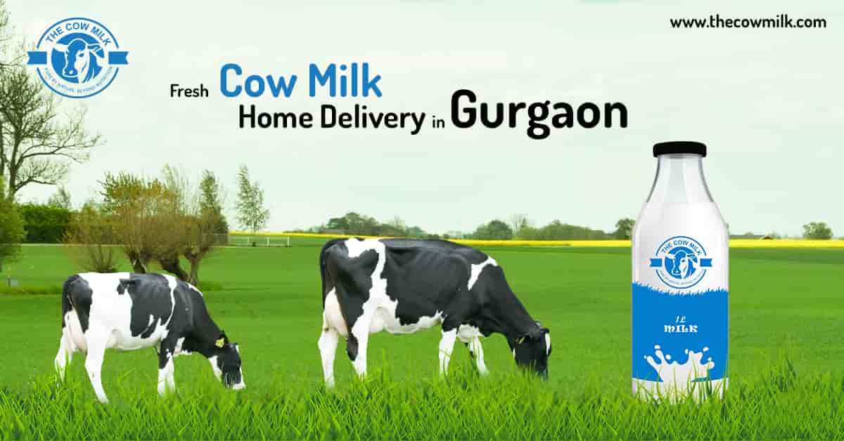 organic milk in delhi