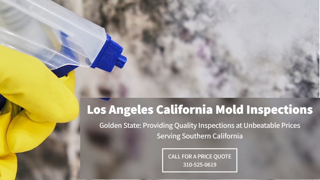 golden state mold inspections