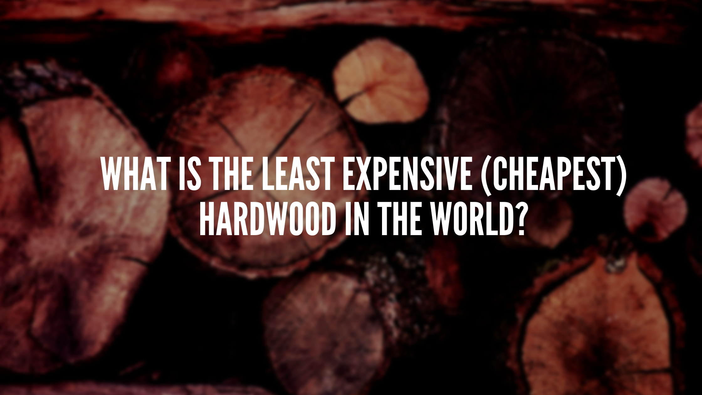 cheapest hardwood in the world