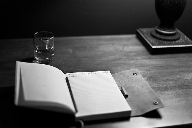 Script Writer